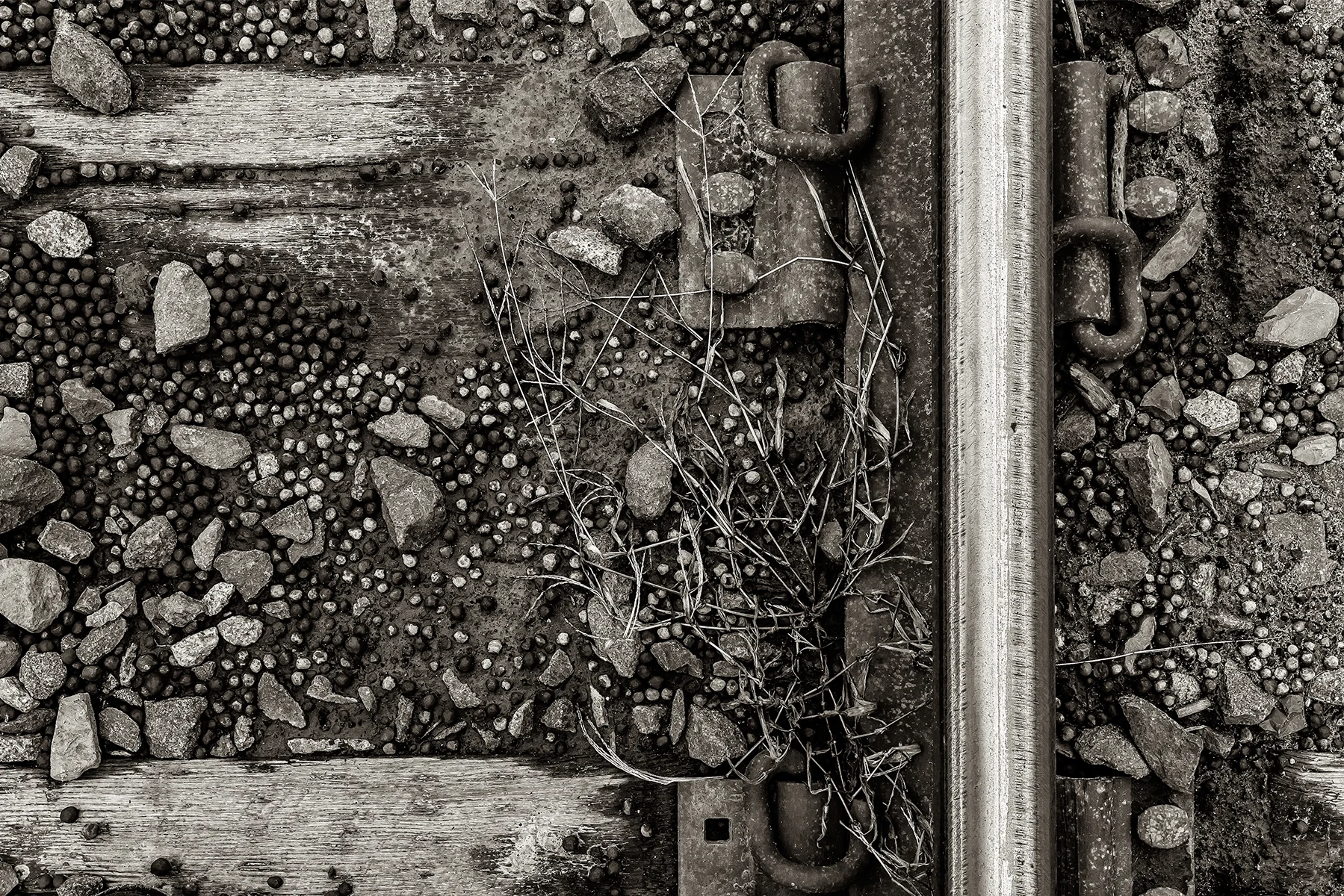 317B3398 copy as Smart Object-1.jpg