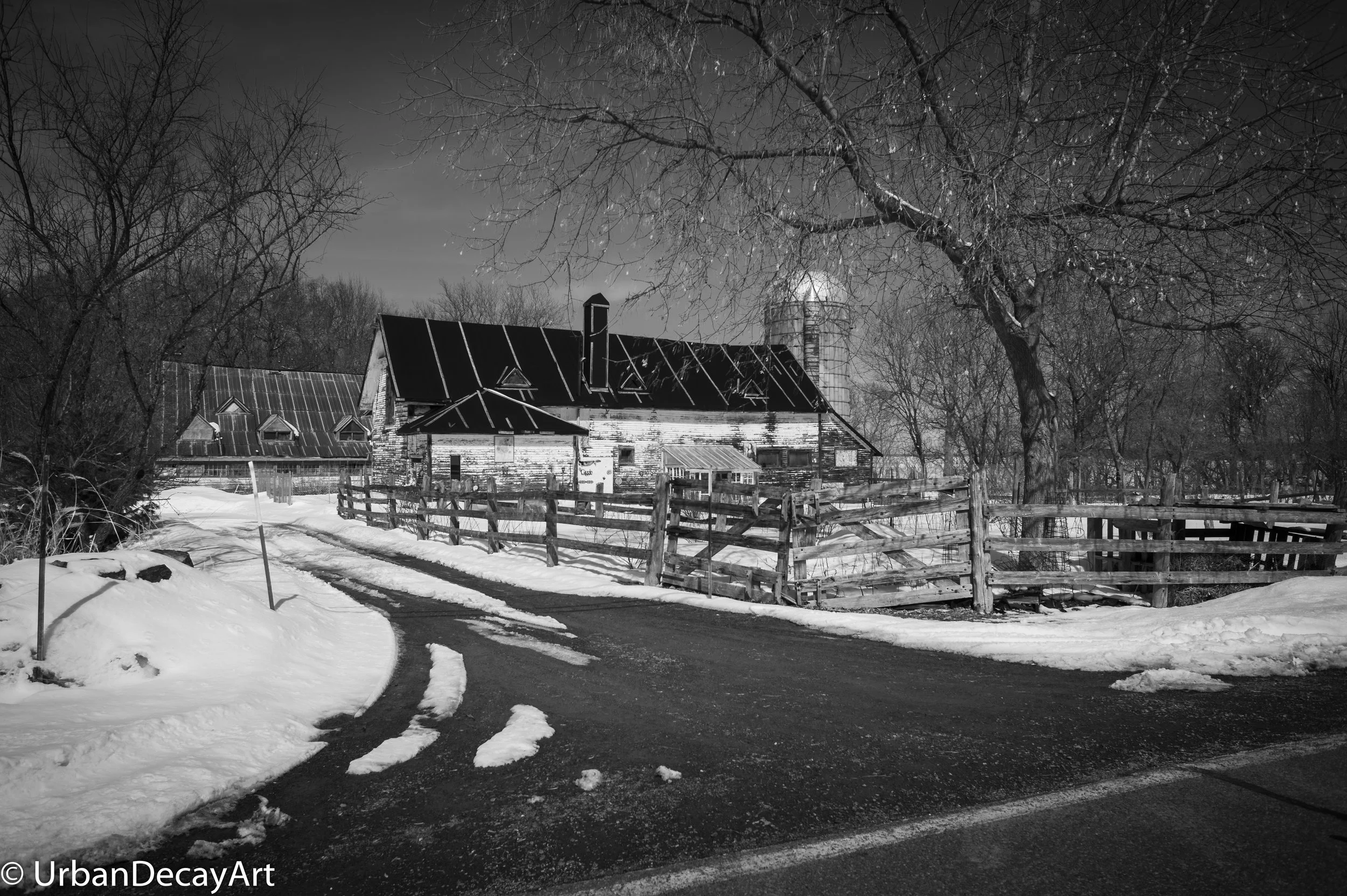 The Barn (1 of 1).jpg