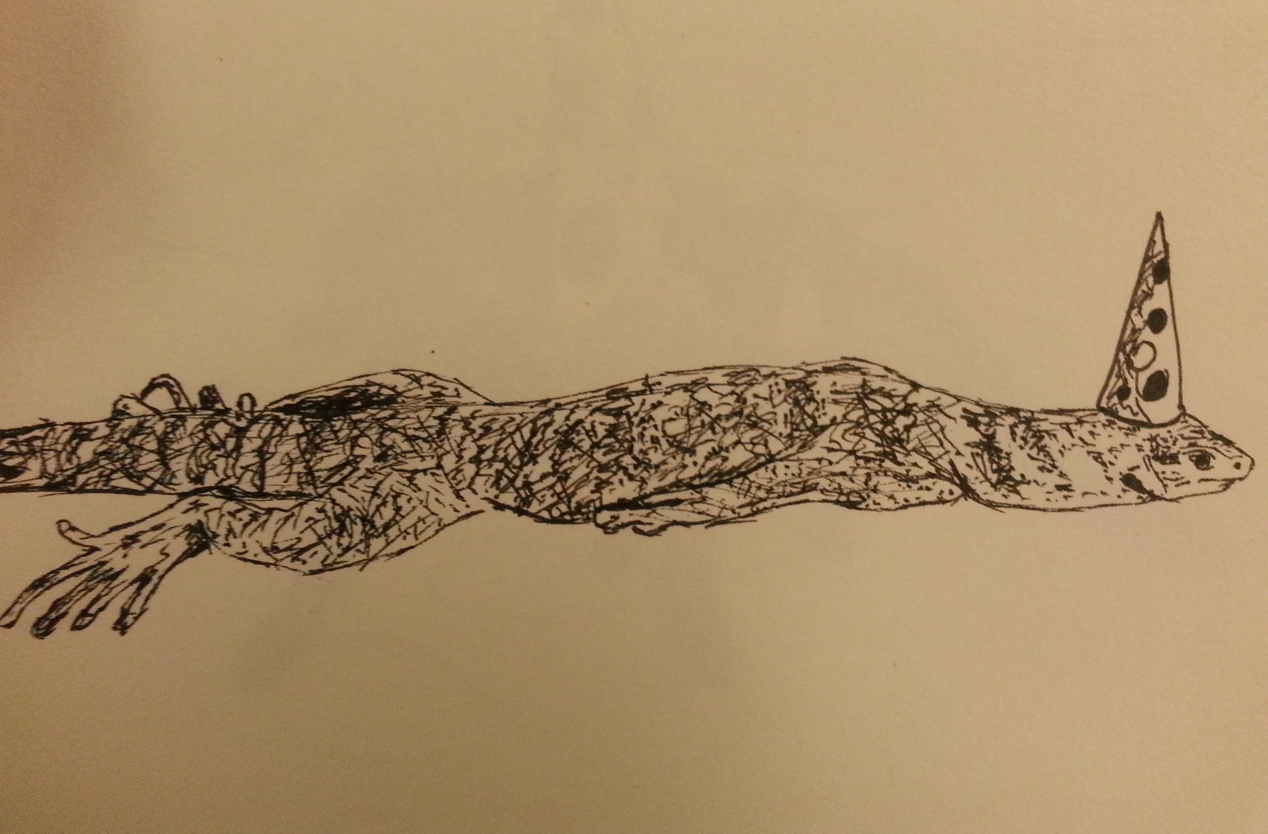 20141113_172424.jpg