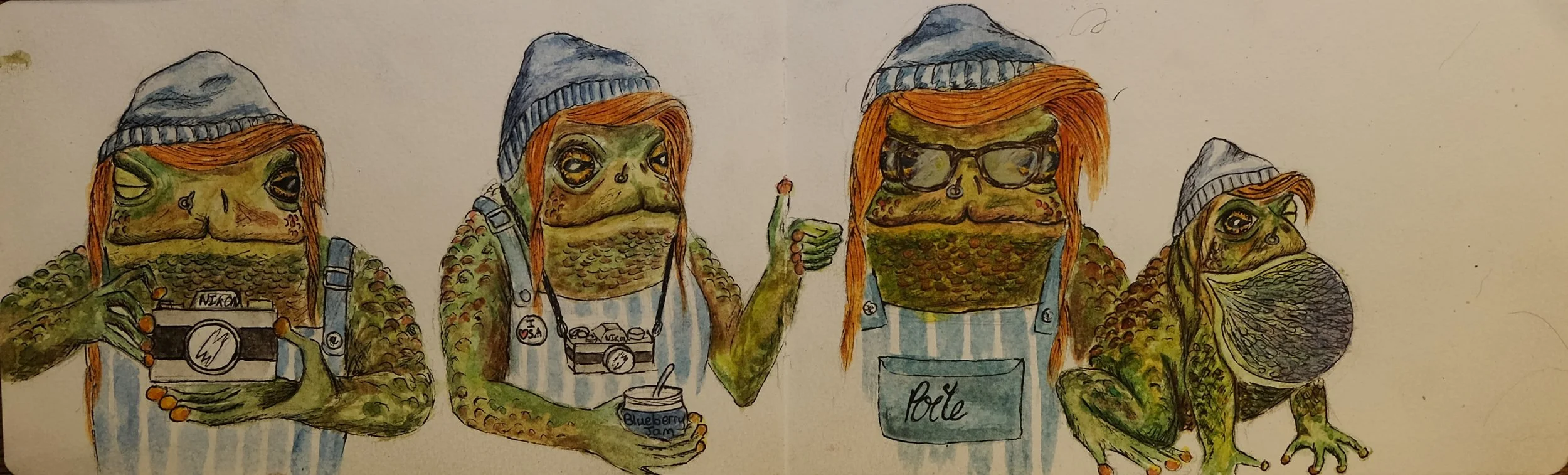 The Toad/India, watercolour and pen