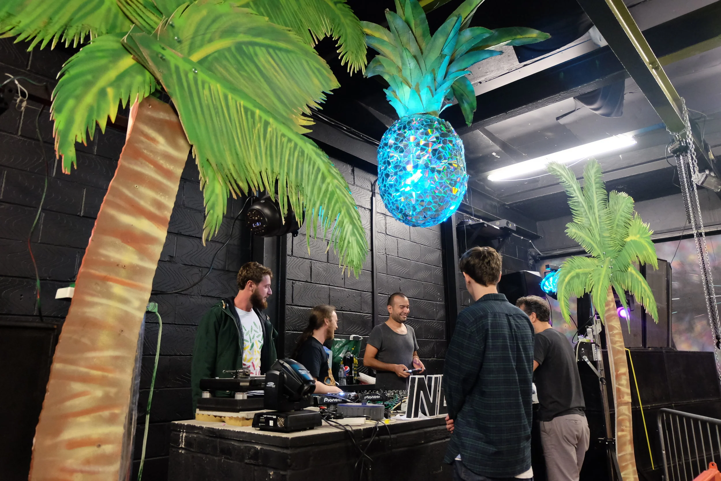 Disco Pineapple 2.JPG