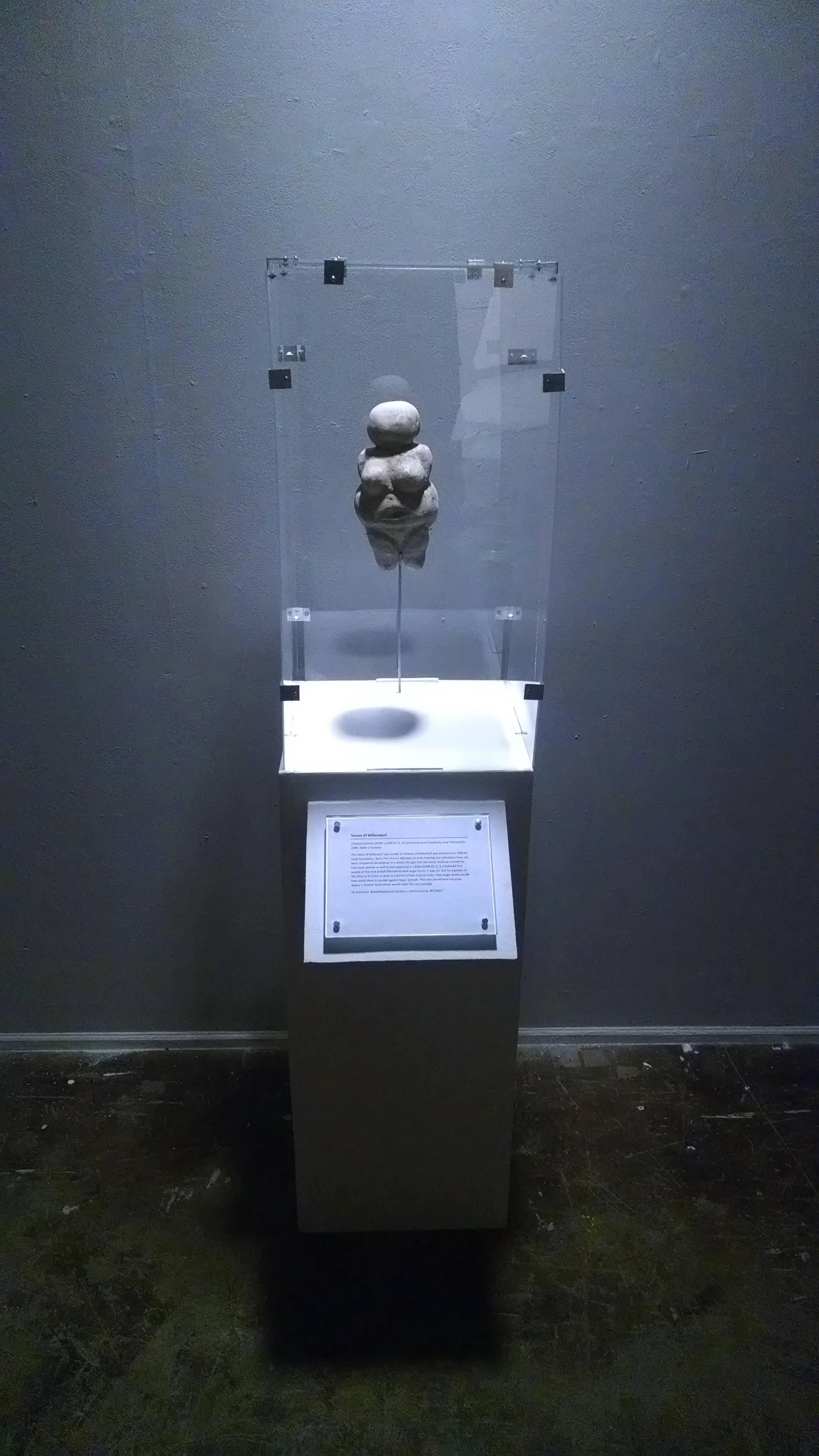 Paleolithic Show