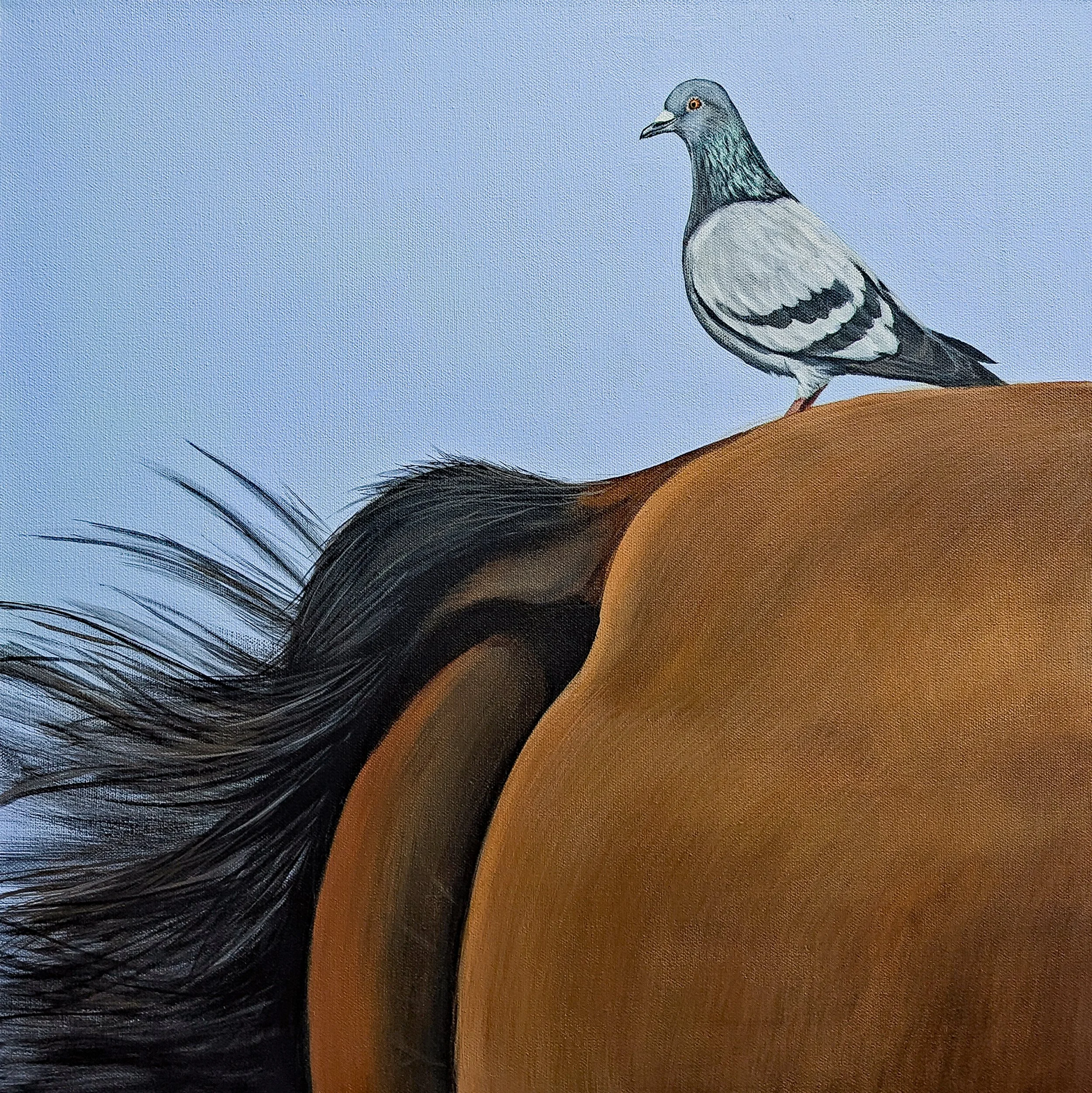 He's a bit of a horses' ass