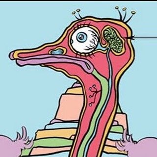 Here's today's WORD OF ENCOURAGEMENT from Kristy &lt;https://www.facebook.com/kristycalhoun&gt; and I: An ostrich&rsquo;s eye is bigger than it&rsquo;s brain. Don&rsquo;t be an ostrich. Make sure you put on the Mind of Christ so your eyes don&rsquo;t