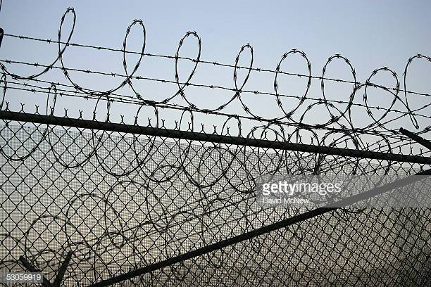 Photo by David McNew/Getty Images News / Getty Images