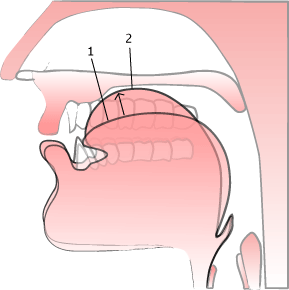 'long a' illustration