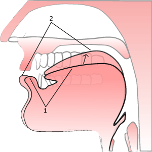 'long o' illustration