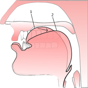 'long u' illustration