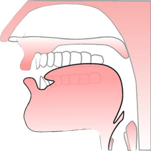 'short u' illustration