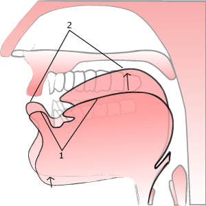 'ow sound' illustration
