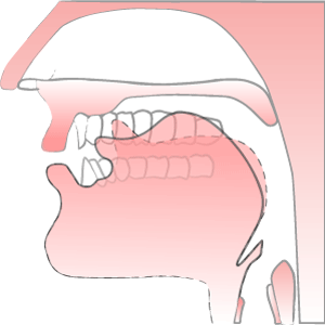 'r sound' illustration