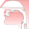 Pronounce r sound — Pronuncian: American English Pronunciation