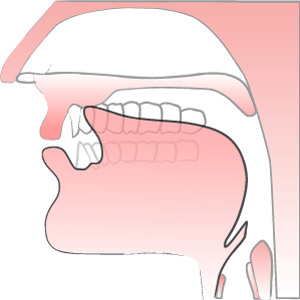 'l sound' illustration