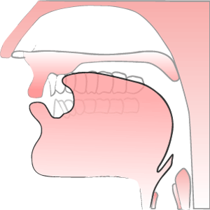 'zh sound' illustration