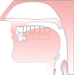 'm sound' illustration