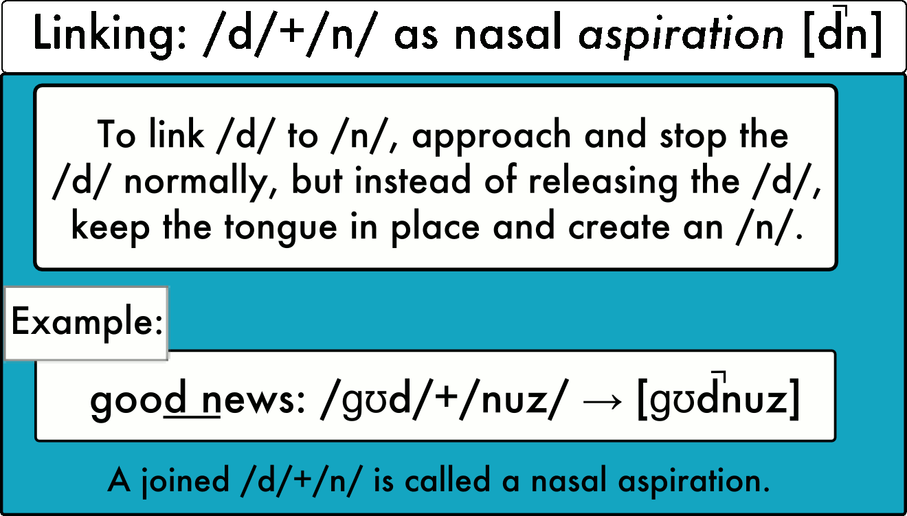 linking-nasal-aspiration.gif