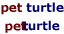 linking-pet-turtle.gif