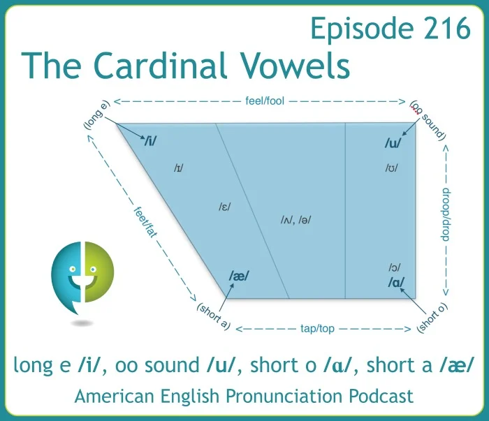 Cardinal vowels are the 4 vowel sounds that are the most extreme and can be used as preference points for the other vowel sounds. 