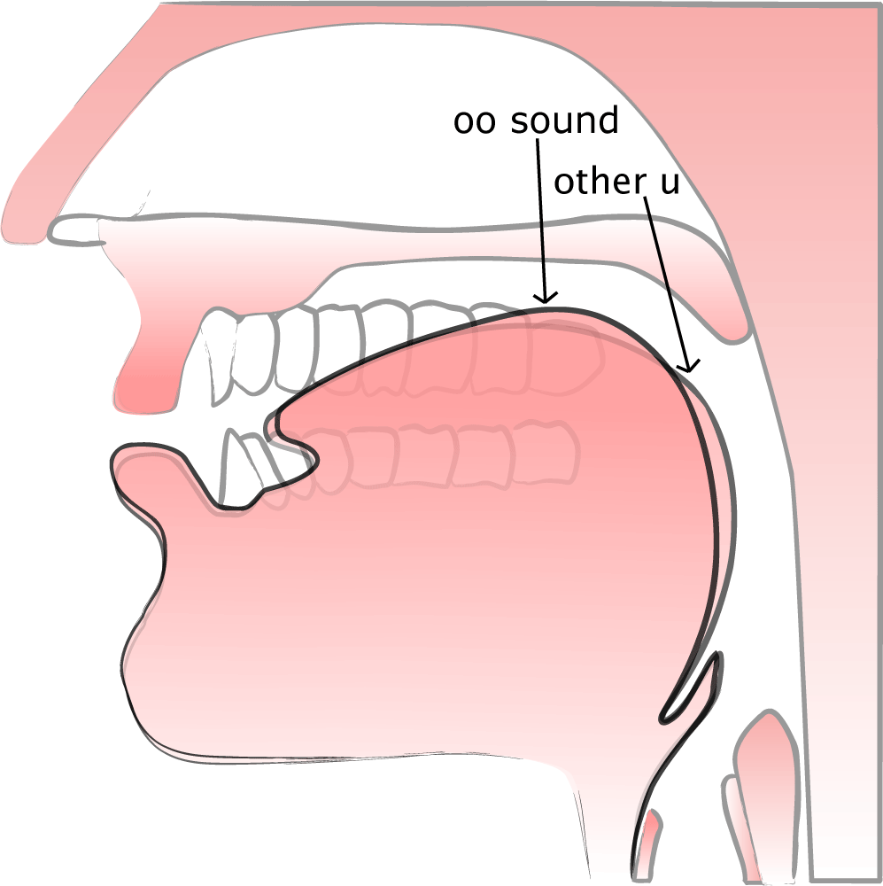 The /ʊ/ and /u/ have very similar tongue positions. Practice /ʊ/ ('other u' as in 'foot' and 'put'). Practice /u/ ('oo sound' as in 'soon').