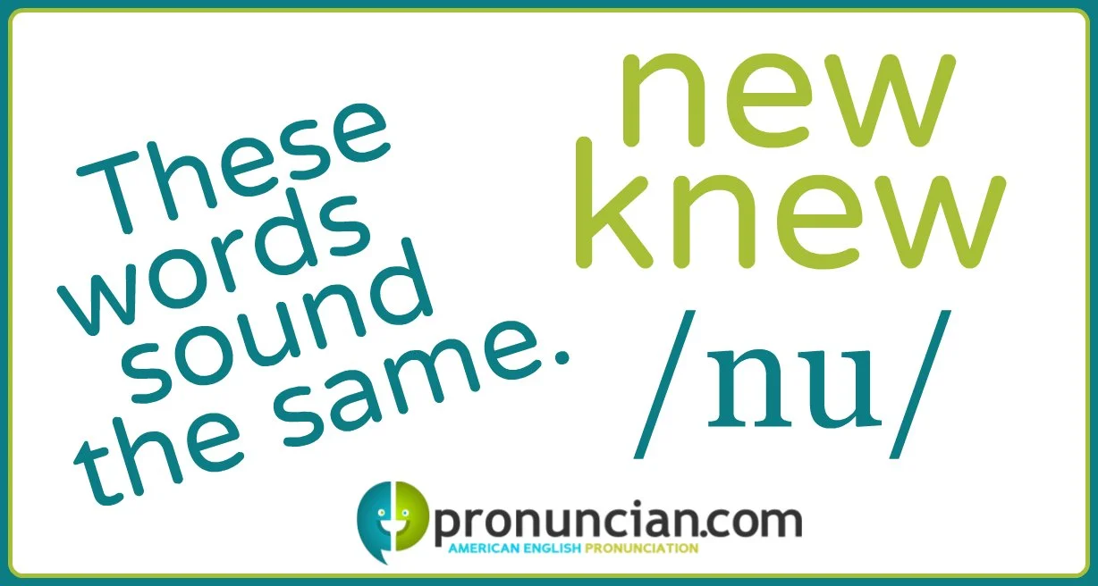 'New' and "knew" are homophones and are pronounced the same.
