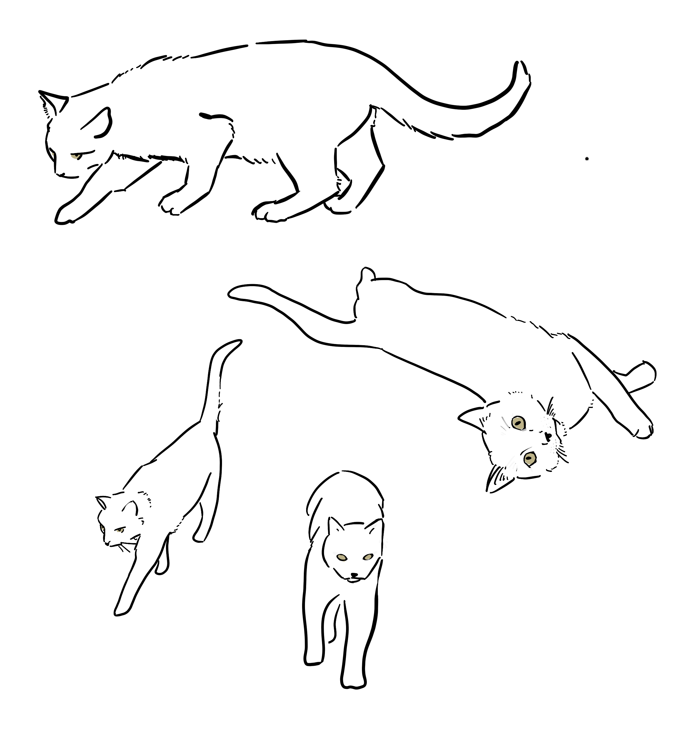 tilted_sun_becky_jewell_the_misinterpreted_cat.png