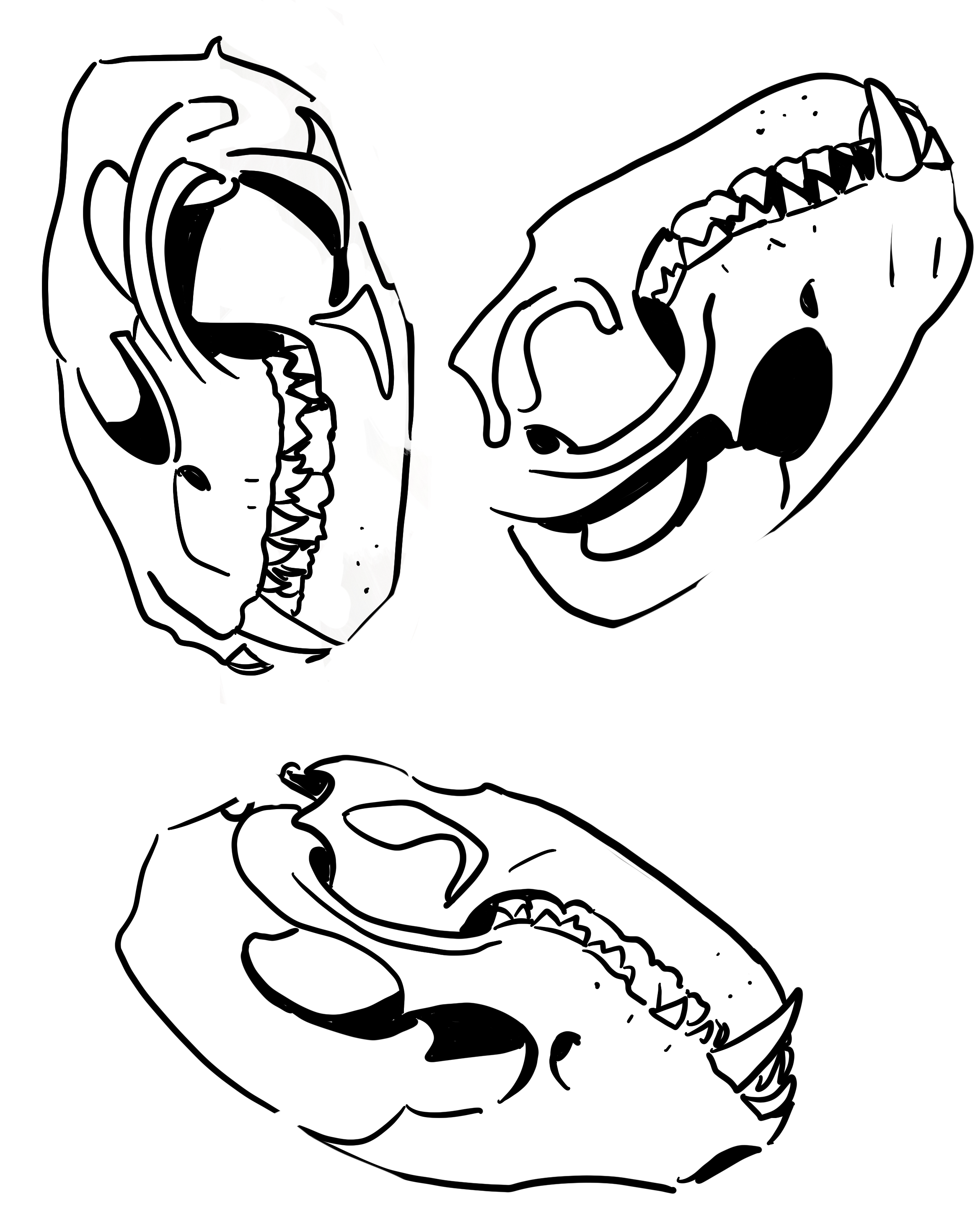 tilted_sun_becky_jewell_hart_skulls.png