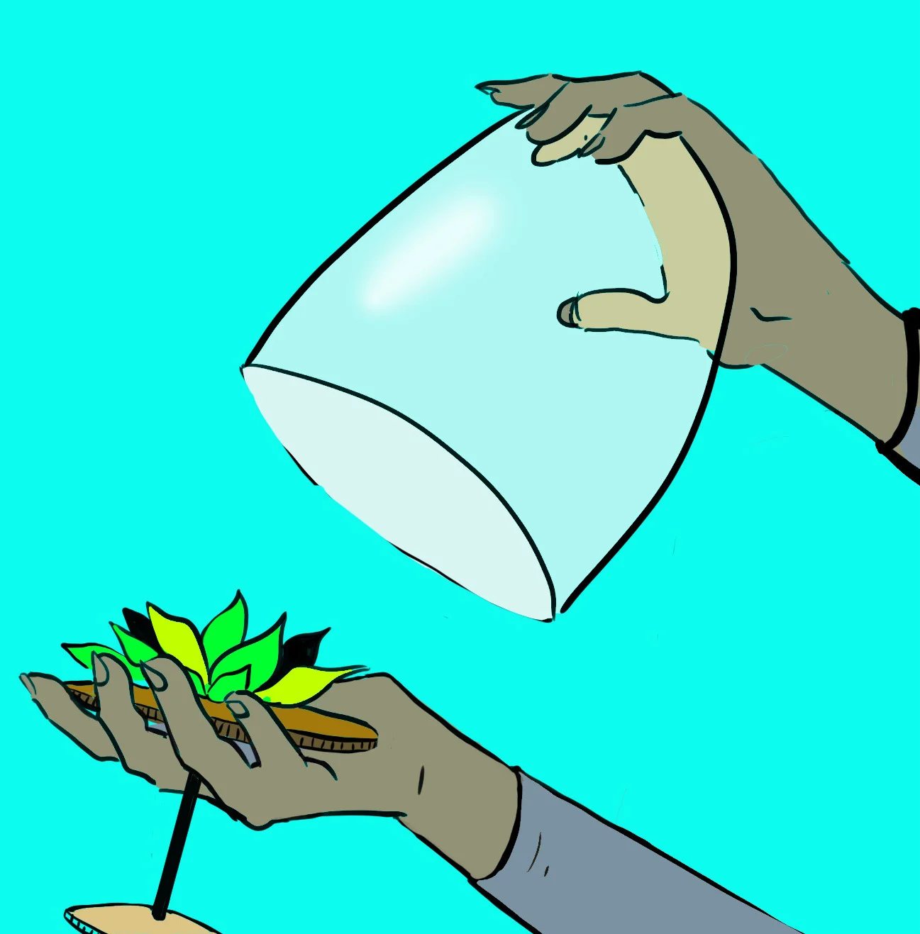 tilted sun green lotus copy.jpg