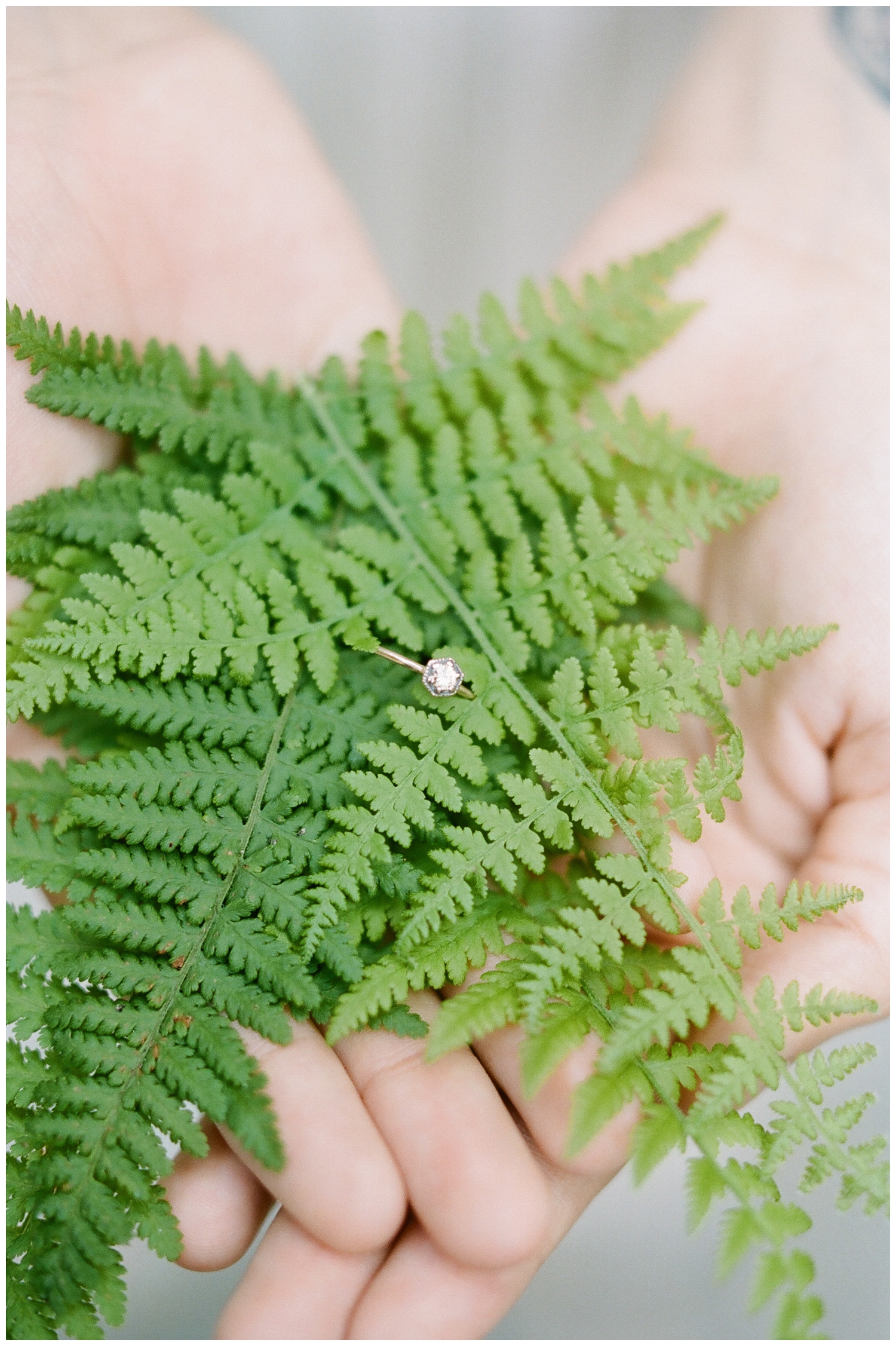 VonCarlowitz-Engagement-021.jpg