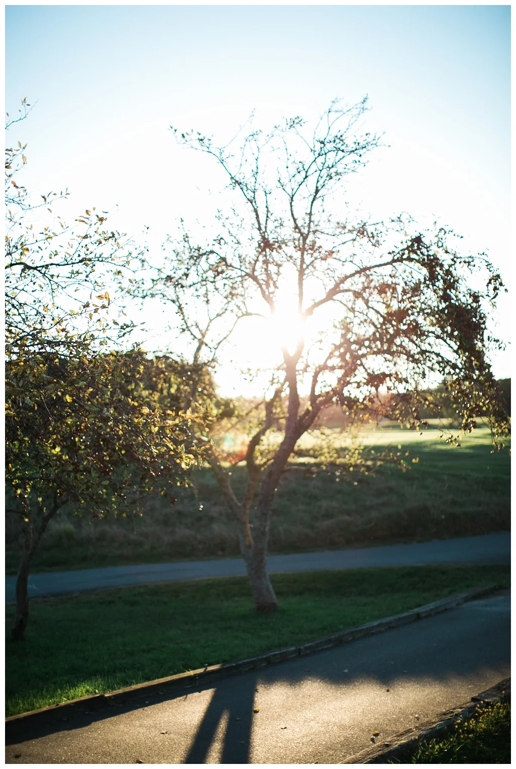 Red Oak Weddings | New York, New Jersey and Pennsylvania wedding vendors, resources and inspiration for the modern couple |