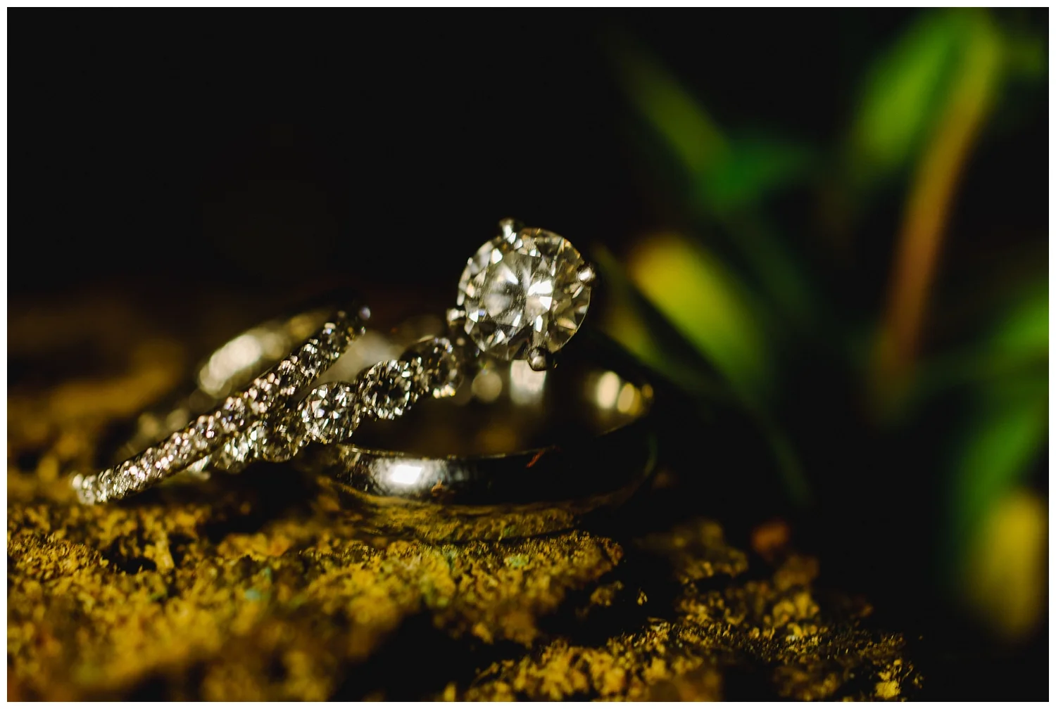 New York, New Jersey and Pennsylvania wedding vendors, resources and inspiration for the modern couple