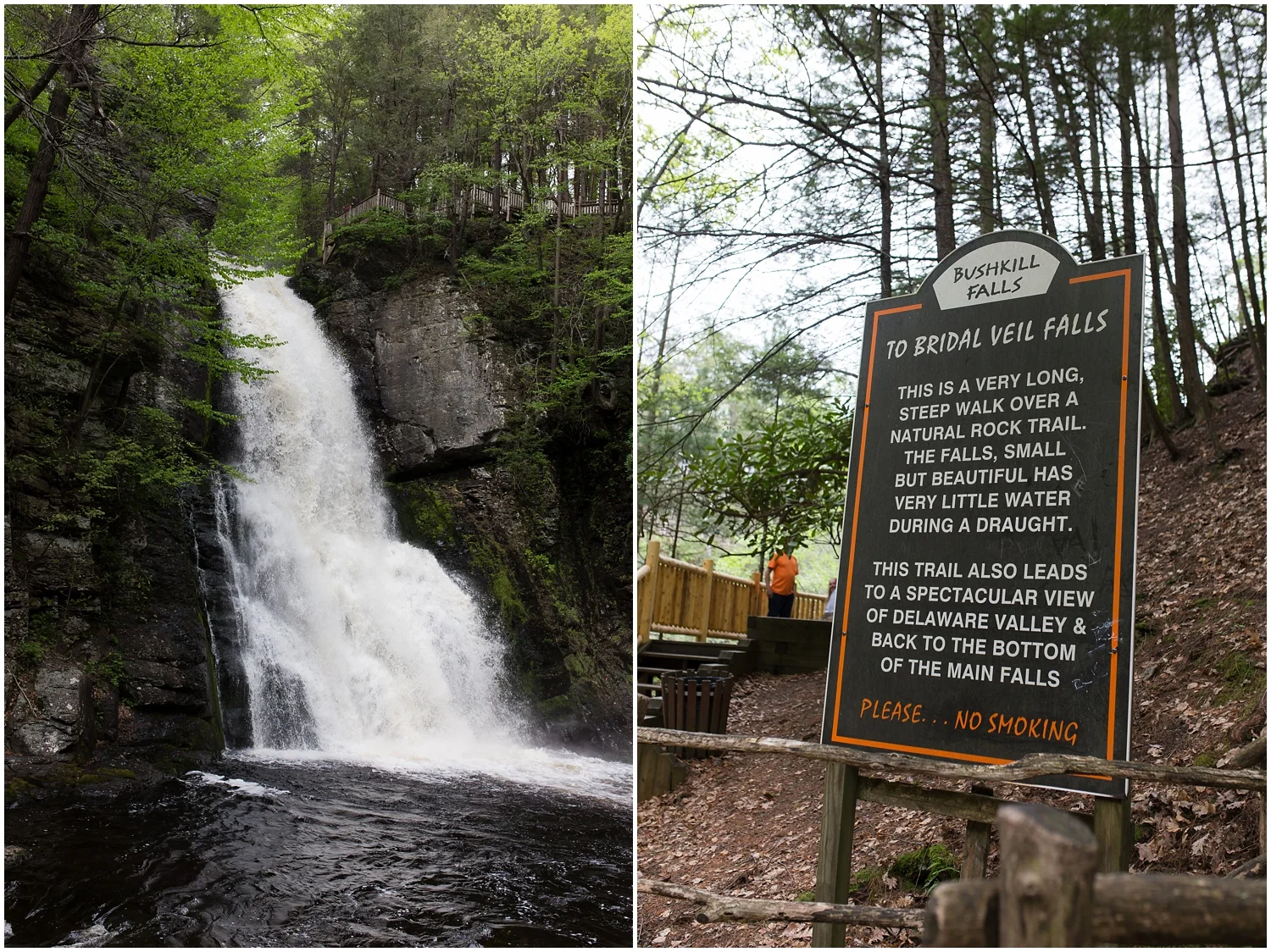 BushkillFallsEngagementSession_0142.jpg
