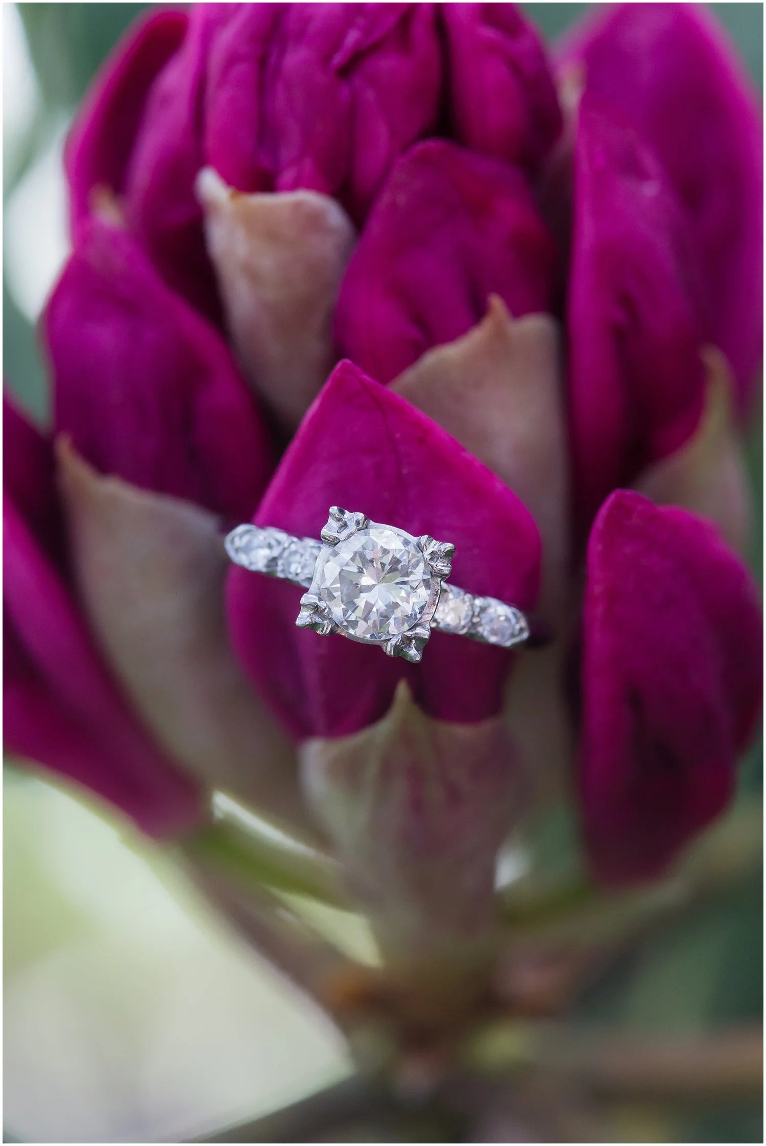 BushkillFallsEngagementSession_0145.jpg