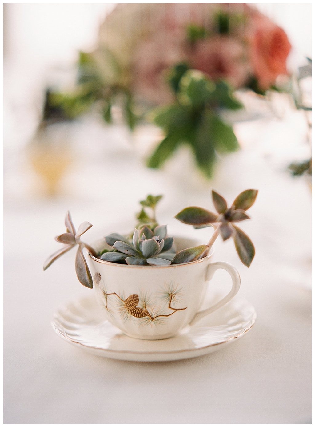 For the modern couple planning their wedding in NY, NJ + PA. Real weddings, engagements, inspiration + more!