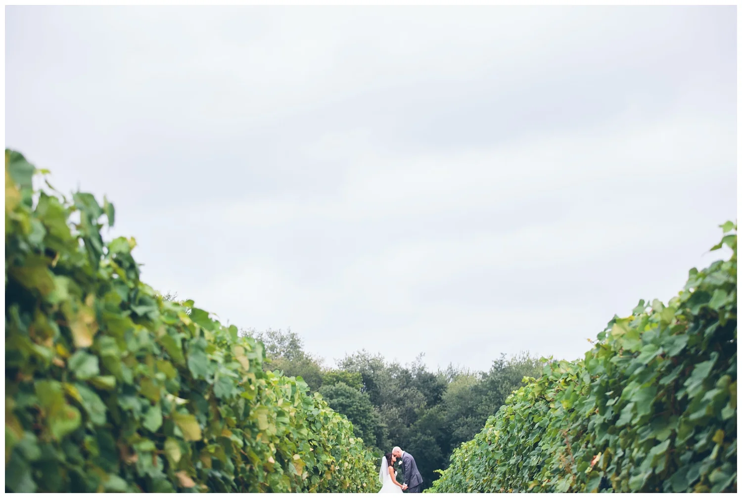 For the modern couple planning their wedding in NY, NJ + PA. Real weddings, engagements, inspiration + more!