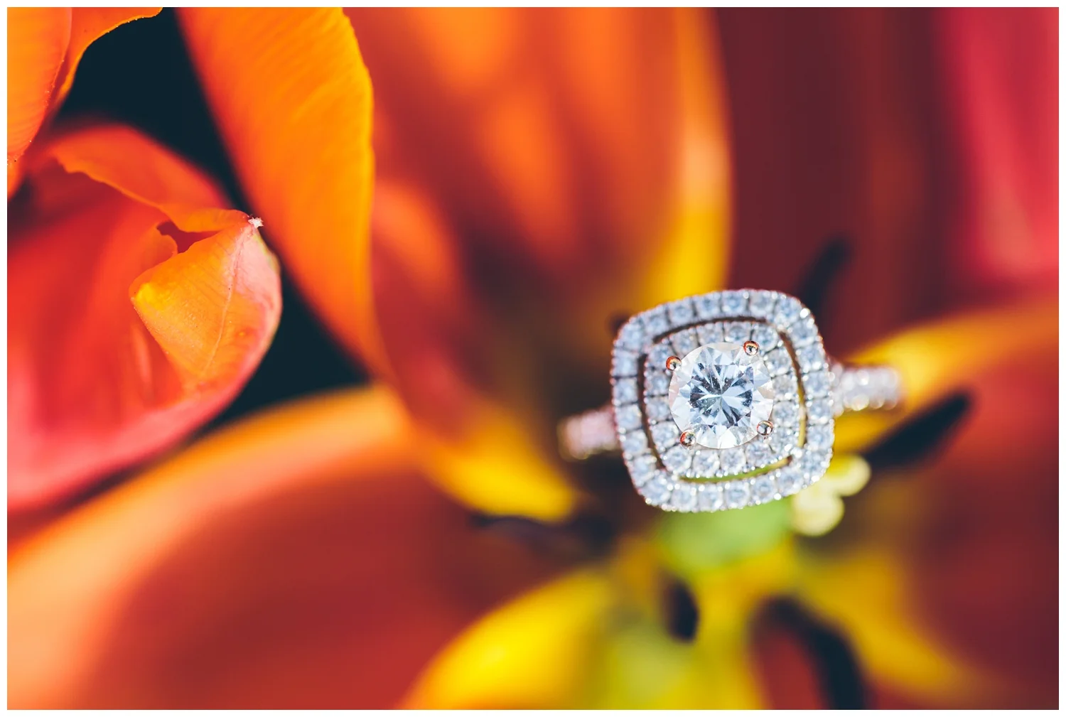 For the modern couple planning their wedding in NY, NJ + PA. Real weddings, engagements, inspiration + more!