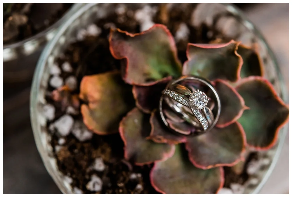 Pennsylvania Weddings | Pittsburgh, PA | Real weddings, engagements and inspiration for the modern PA Bride | www.redoakweddings.com