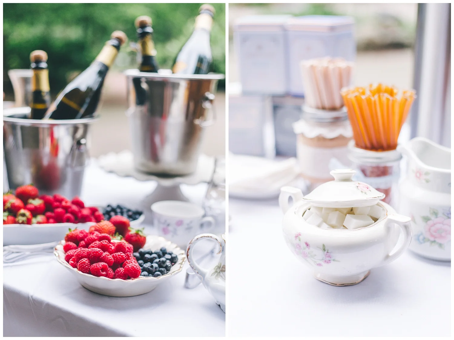 New Jersey Bridal Shower | Rutgers Gardens | New Brunswick, NJ | www.redoakweddings.com