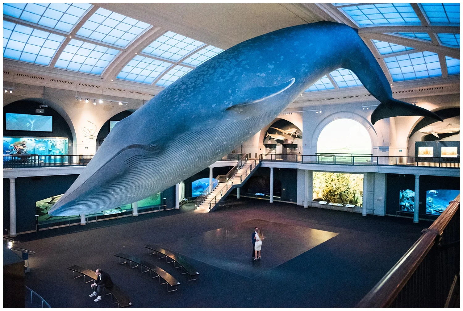 NYC Engagements | Museum of Natural History | www.redoakweddings.com