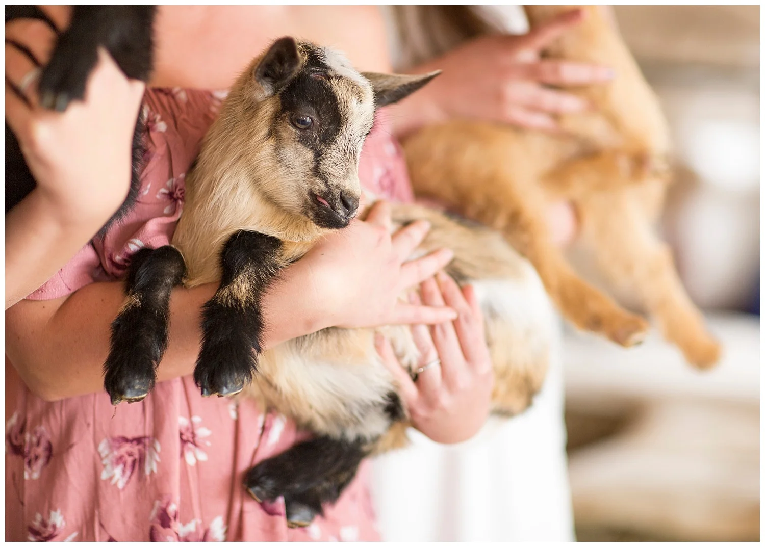 Gilbertsville Farmhouse Wedding Inspiration | South New Berlin, NY | www.redoakweddings.com