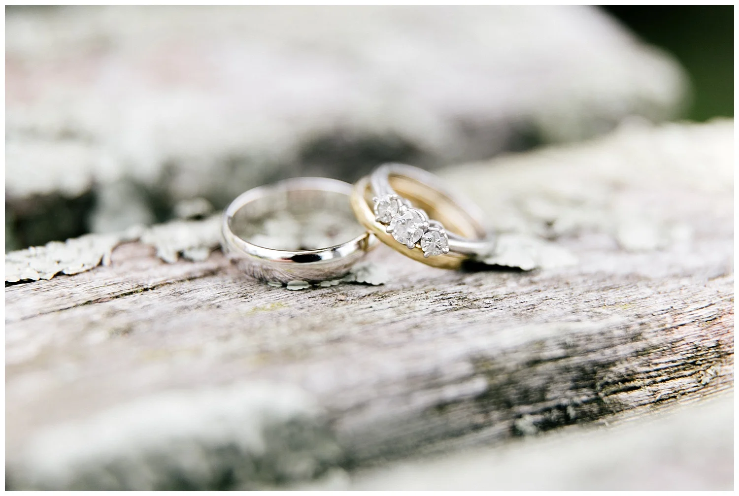 Philadelphia Weddings | The Tyler Arboretum | Media, PA | www.redoakweddings.com
