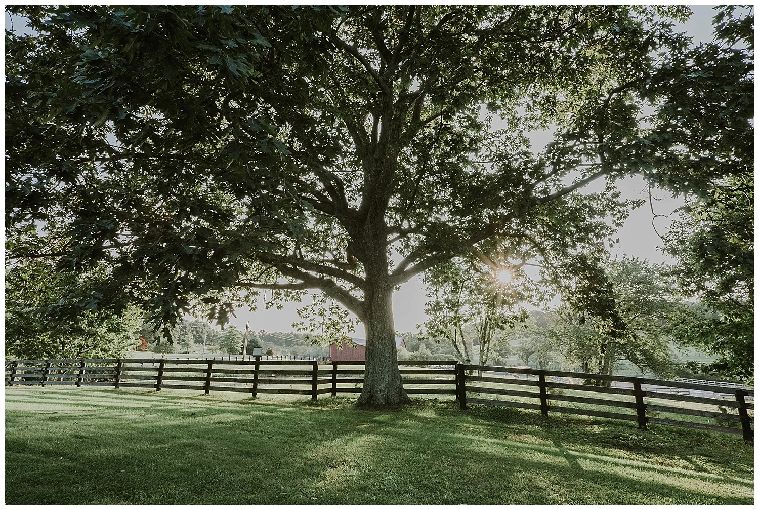 redoakweddings_1334.jpg