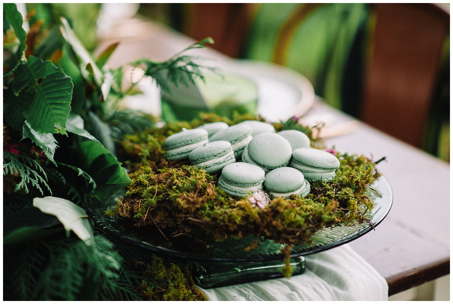 The Living Wall at Promise Ridge | Scranton Weddings | Stroudsburg, PA | www.redoakweddings.com
