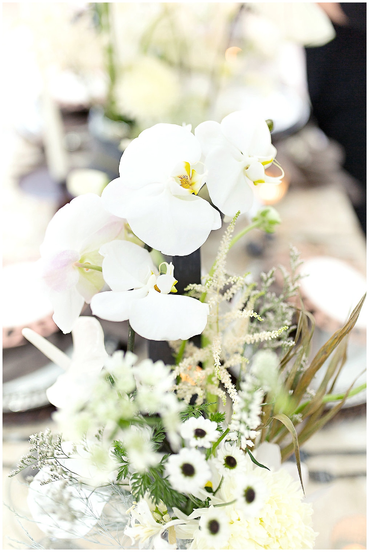 Pride Month Styled Shoot | Megan McGreevy Photography