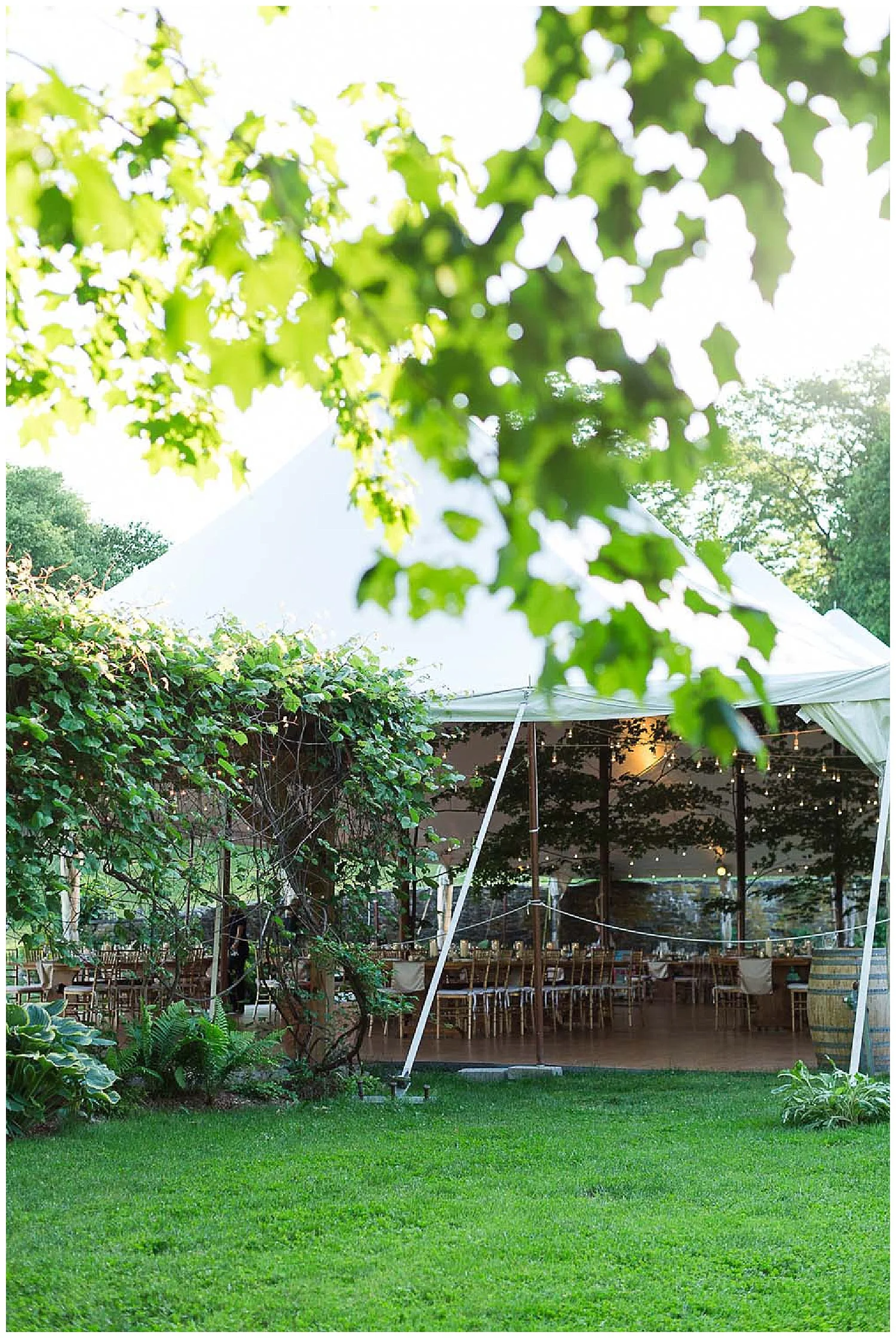 Red Maple Vineyard Wedding | Hudson Valley Vineyard Wedding | West Park, NY | www.redoakweddings.com