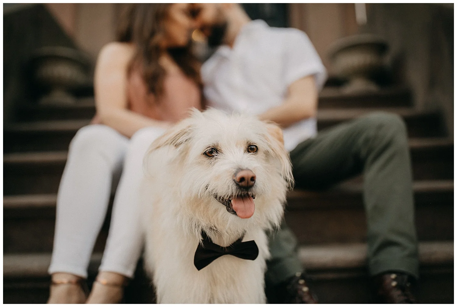 Brooklyn Neighborhood Engagement Session | Brooklyn, NY | Engagement Session with Dog | www.redoakweddings.com