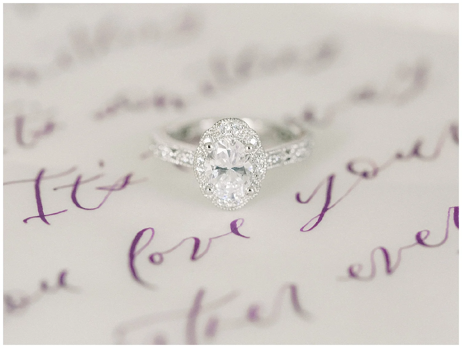 Intimate Engagement Celebration | The French Market | Rumson, NJ | www.redoakweddings.com