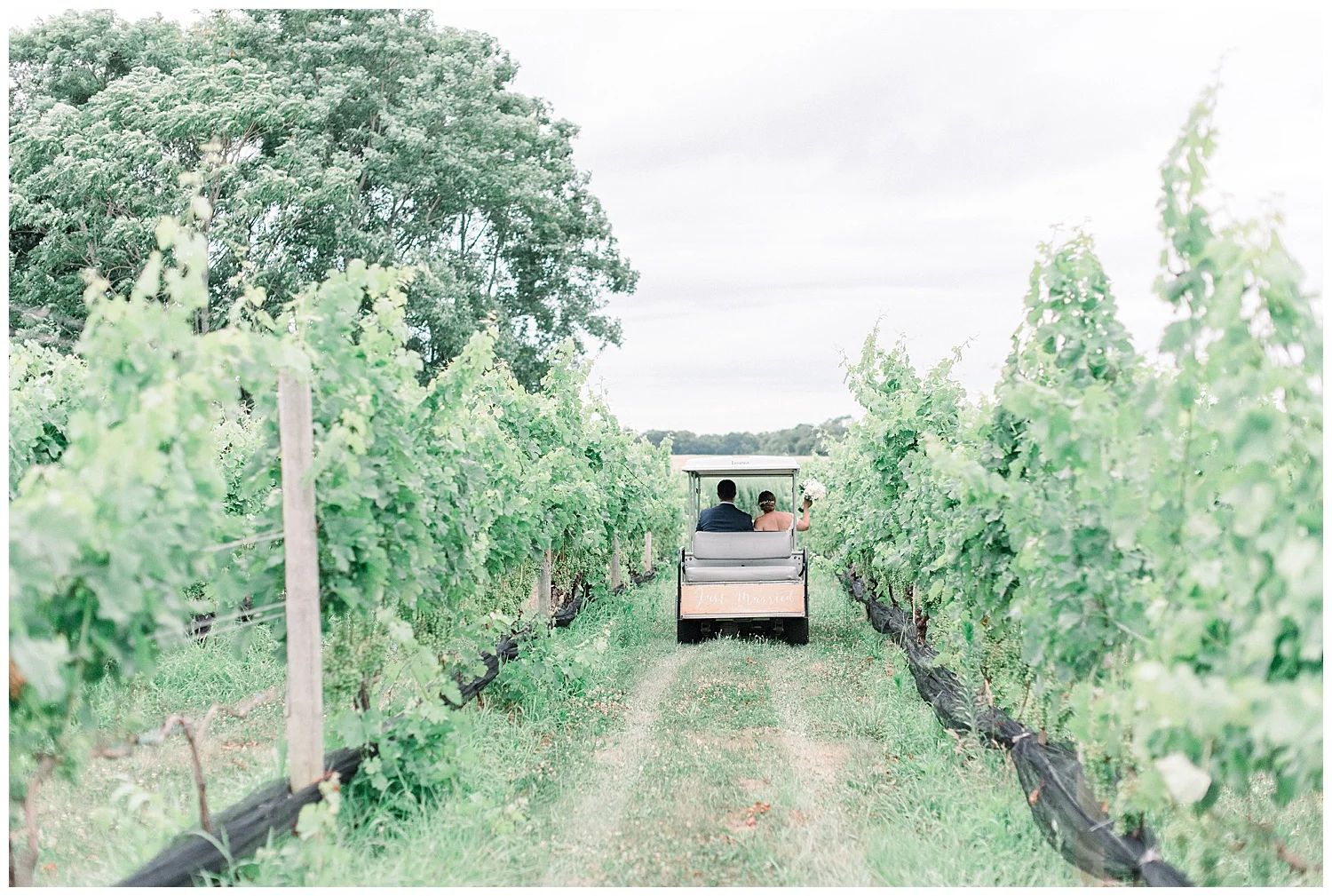 The Vineyards at Aquebogue Wedding | North Fork Wedding | Vineyard Wedding | Aquebogue, NY | www.redoakweddings.com