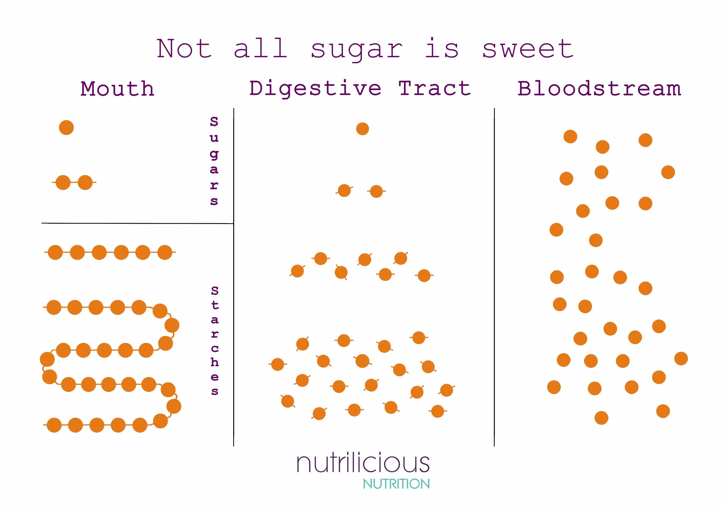 Carbs to Sugar Slide.jpg