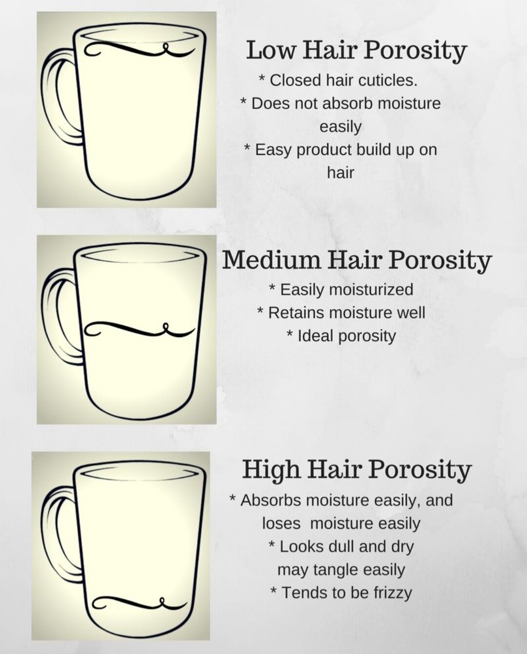 Everything You Need To Know About Hair Porosity  Colleen Charney