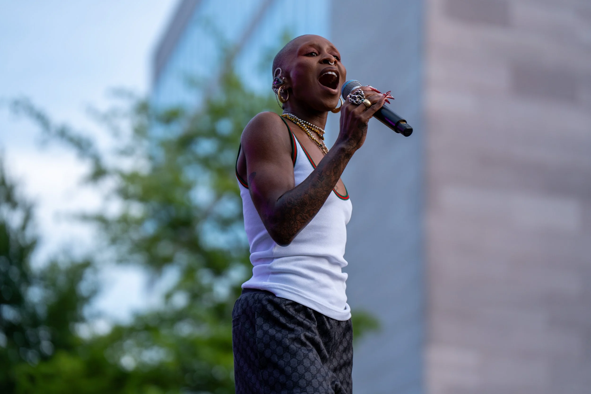 Idris Evans for Capital Pride - Saturday Festival & Concert - 087 - 2025-06-07.jpg